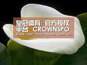 产品名称七