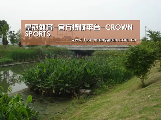 案例展示四