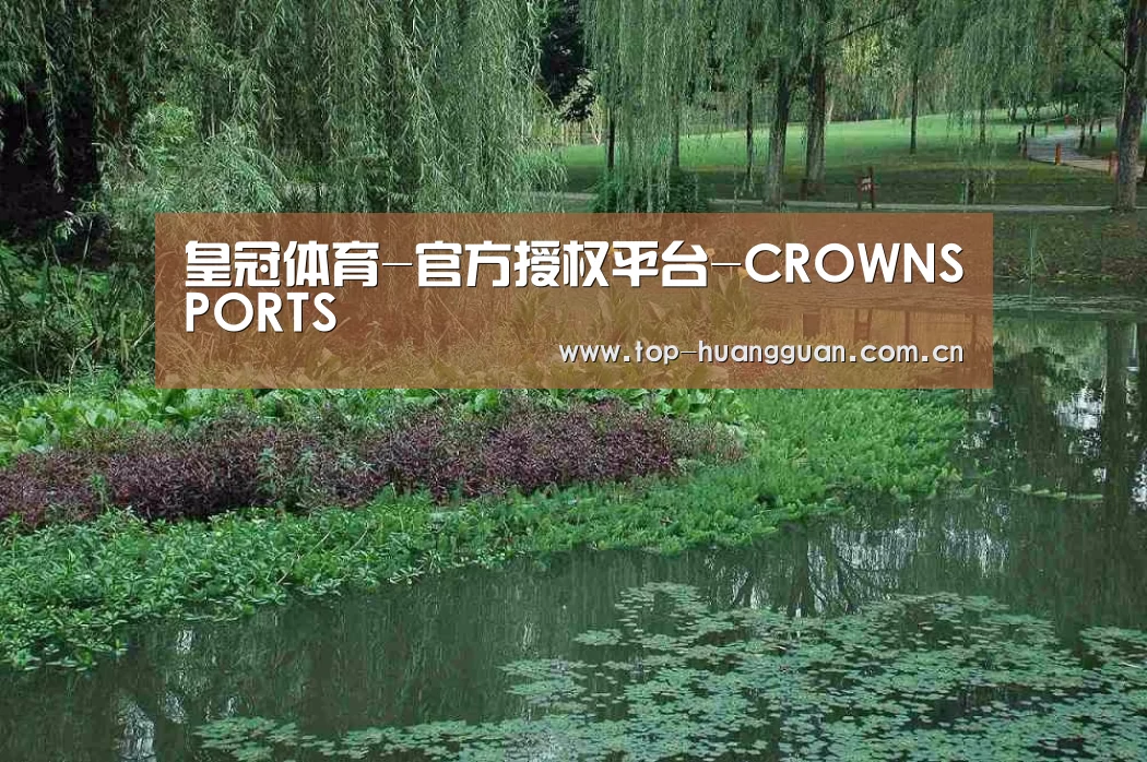 案例展示一