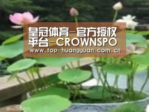 产品名称一