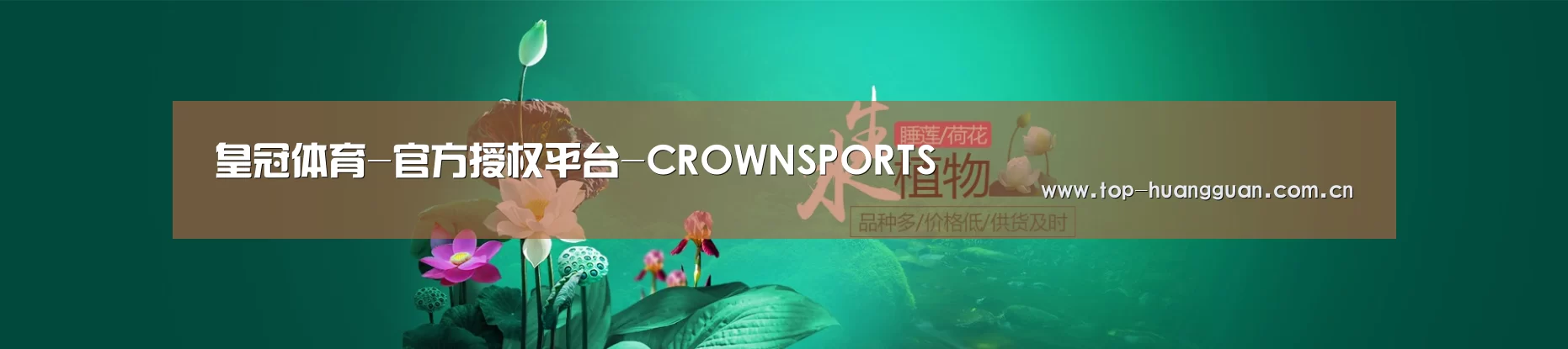 鲜花水草花卉网站模板