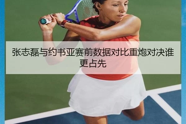 张志磊与约书亚赛前数据对比重炮对决谁更占先